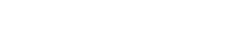 NordPass Horizontal