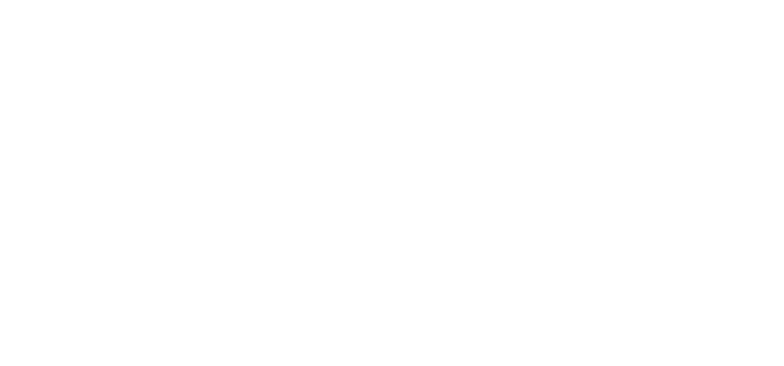 NordVPN Horizontal